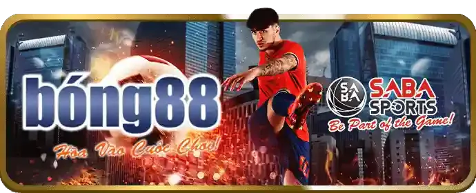 Cookie quảng cáo WT88